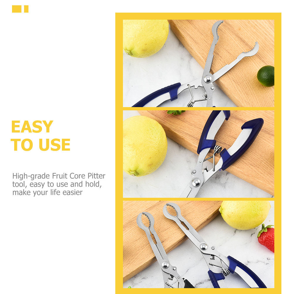 Penghilang Inti Buah Hawthorn  - Kitchen Gadgets & Toys ulasan dan harga