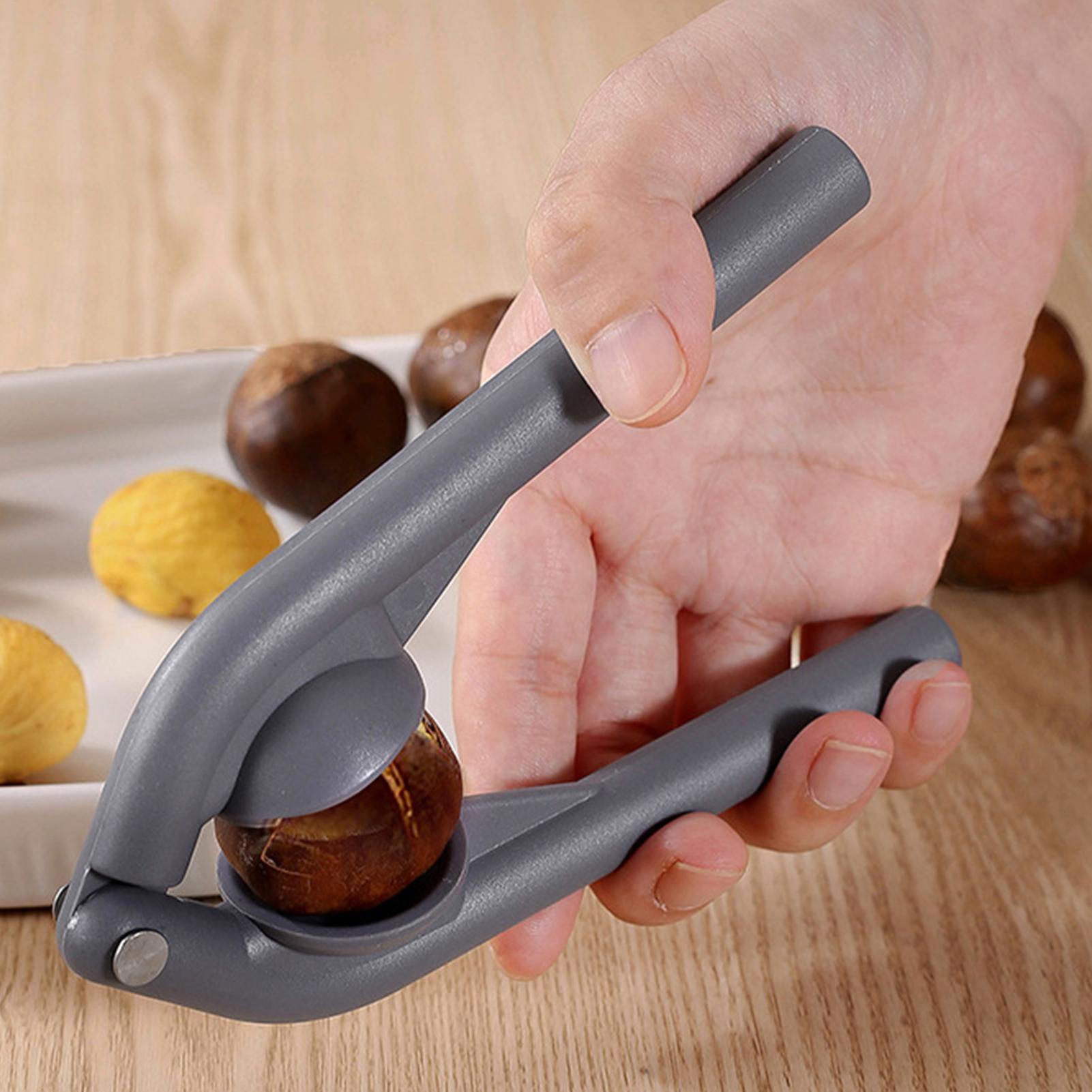 Alat Pemotong Kastanye Baja Ta - Kitchen Gadgets Peeler ulasan dan harga
